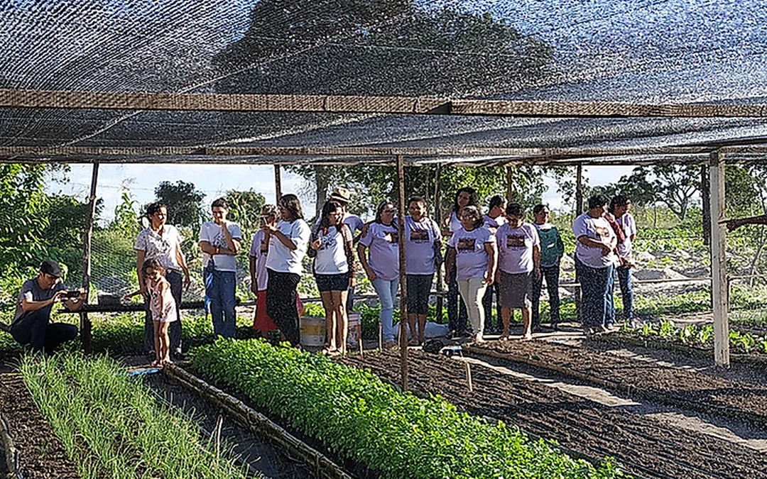 Agricultoras dos sítios tambor e serra de Joaquim Vieira II, realizaram intercambio